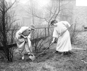 Ministry Monday: Attending to the Culture of Our Souls